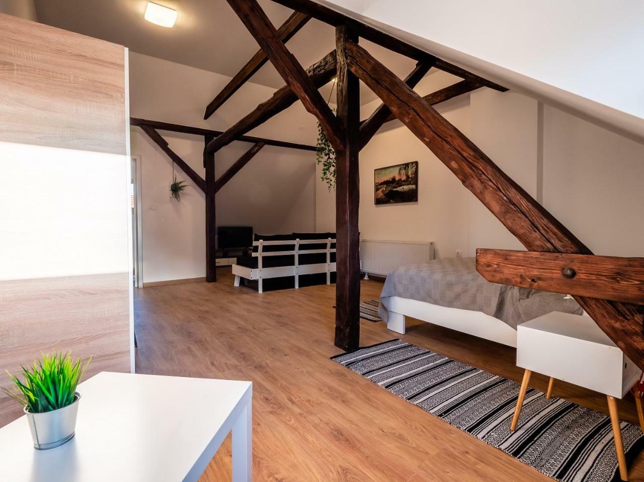 Eva Rooms & Studio Apartment Карловац Экстерьер фото